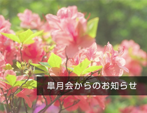 皐月会イメージ写真